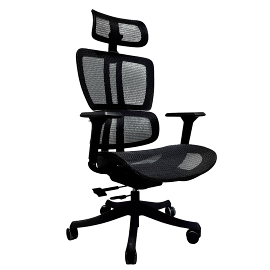 Silla Directiva Ergo Monte  Respaldo Y A