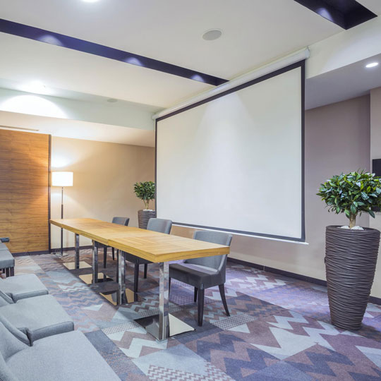 Pantalla Para Proyector De 100 Pulgadas