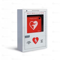 Aed Gabinete , Montado En La Superficie De La Pared