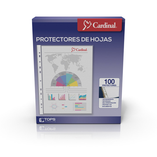 Protector De Hojas Cardinal Carta Antirreflejante Caja Con 100 Pzas