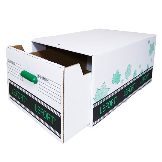 Lm-Caja De Archivo Geo Kraft Liner Blanc