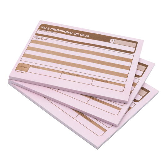 Vale Provisional De Caja Pinos Altos Blí