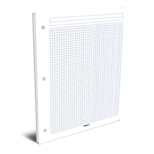 Hojas De Repuesto Para Carpeta Rayter, Cuadro 5Mm, TamaÃ±o Carta, 100 Hojas