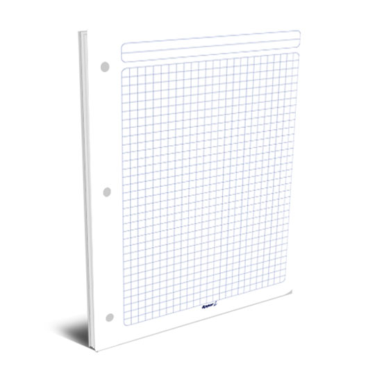 Hojas De Repuesto Para Carpeta Rayter, T