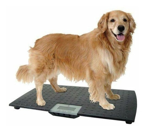 [BAS-VET-105] Bascula Veterinaria 71x46cm Mascota Grande De 105kg Redmon