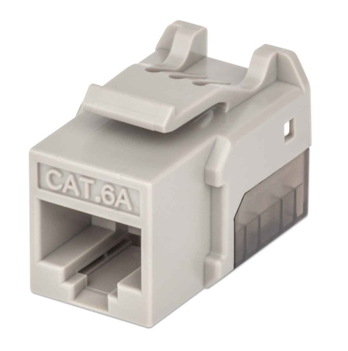 [IC-CO-772341] Lm-Jack Intellinet Cat 6A De Impacto (Ke