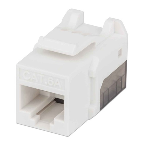 [IC-CO-772358] Lm-Jack Intellinet Cat 6A De Impacto (Ke