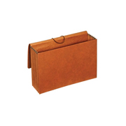 [ESS-ARC-1076G3] Cartera expandible Globe-Weis oficio