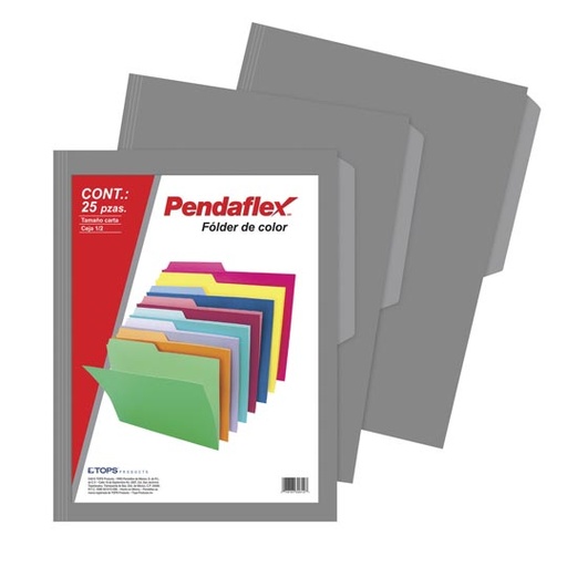 [ESS-FOL-02512GR] Folder De Color Pendaflex Carta Color Gris Ceja 1/2 Caja Con 25 Pzas 