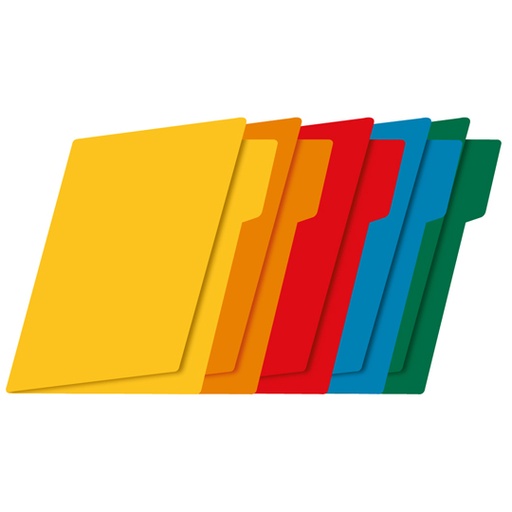 [FTC-FOL-FF0388] Folder De Color Intenso Fortec Carta Col