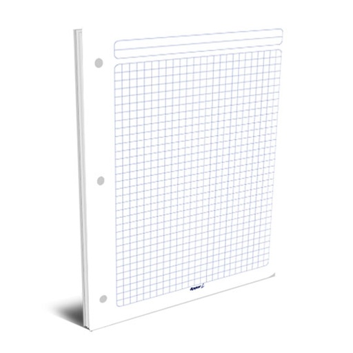 [RAY-CUA-01CA7] Hojas De Repuesto Para Carpeta Rayter, Tamaño Carta, 7Mm, De Cuadro, 100 Hojas