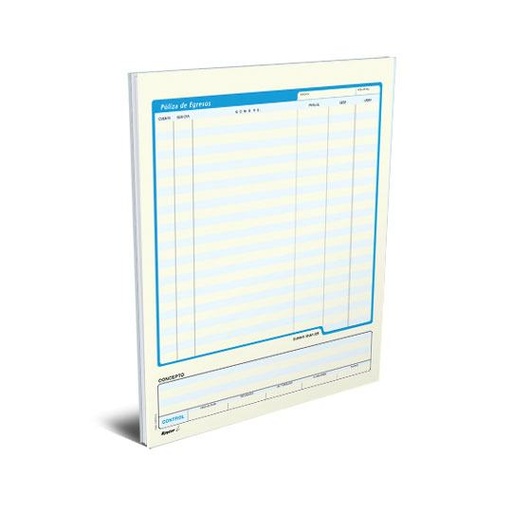 [RAY-POL-08POEG] Póliza De Egresos Rayter, Tamaño Carta,