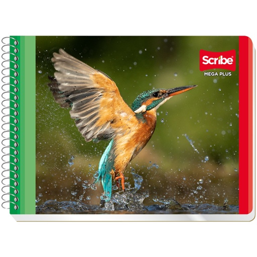 [SCR-CUA-C4533] Cuaderno Scribe forma italiana mega plus cuadro grande (7 mm), con 100 hojas 